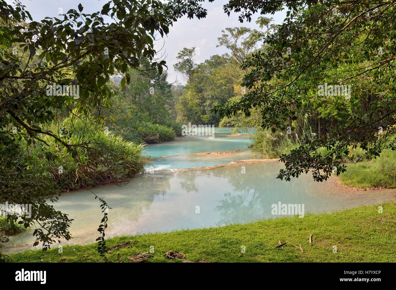 Cataratas de Agua Azul, blu acqua cascate, Rio Yax, Palenque, Chiapas, Messico Foto Stock