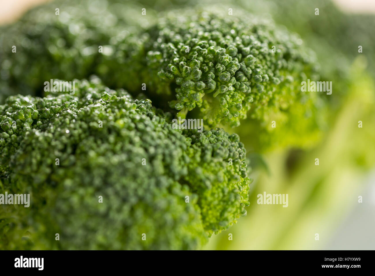 Close-up di broccoli Foto Stock