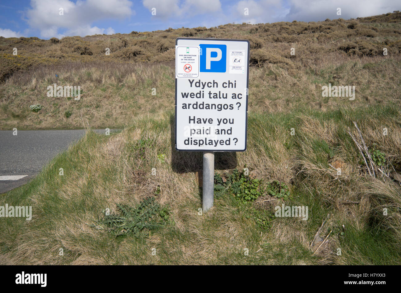 Pagare e Display segno parcheggio in Welsh Foto Stock