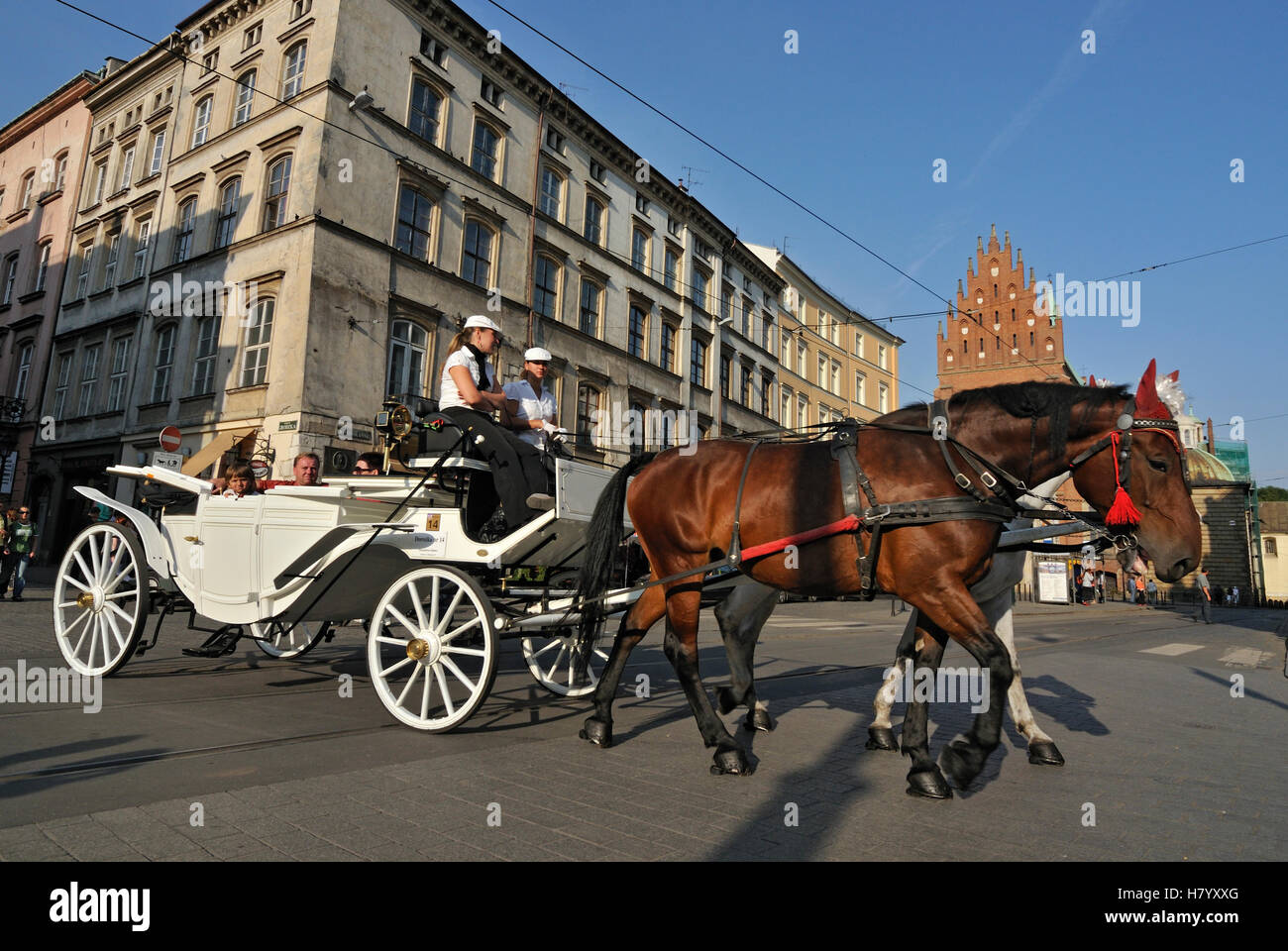 A cavallo il trasporto turistico in strade di Cracovia la città storica, Polonia, Europa Foto Stock