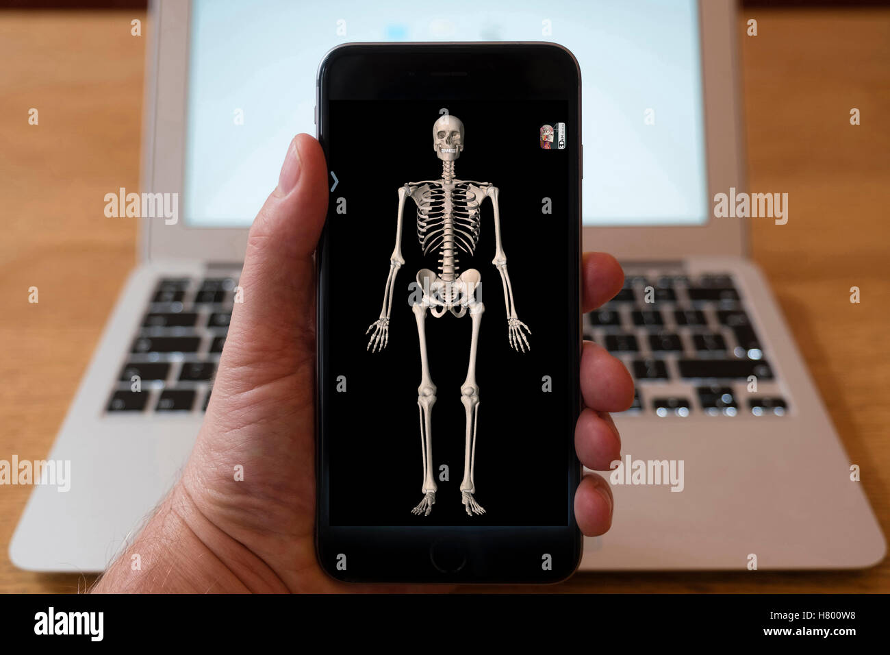 Utilizzo di iPhone smartphone per visualizzare immagine 3D di scheletro umano dall'anatomia medical education app Foto Stock