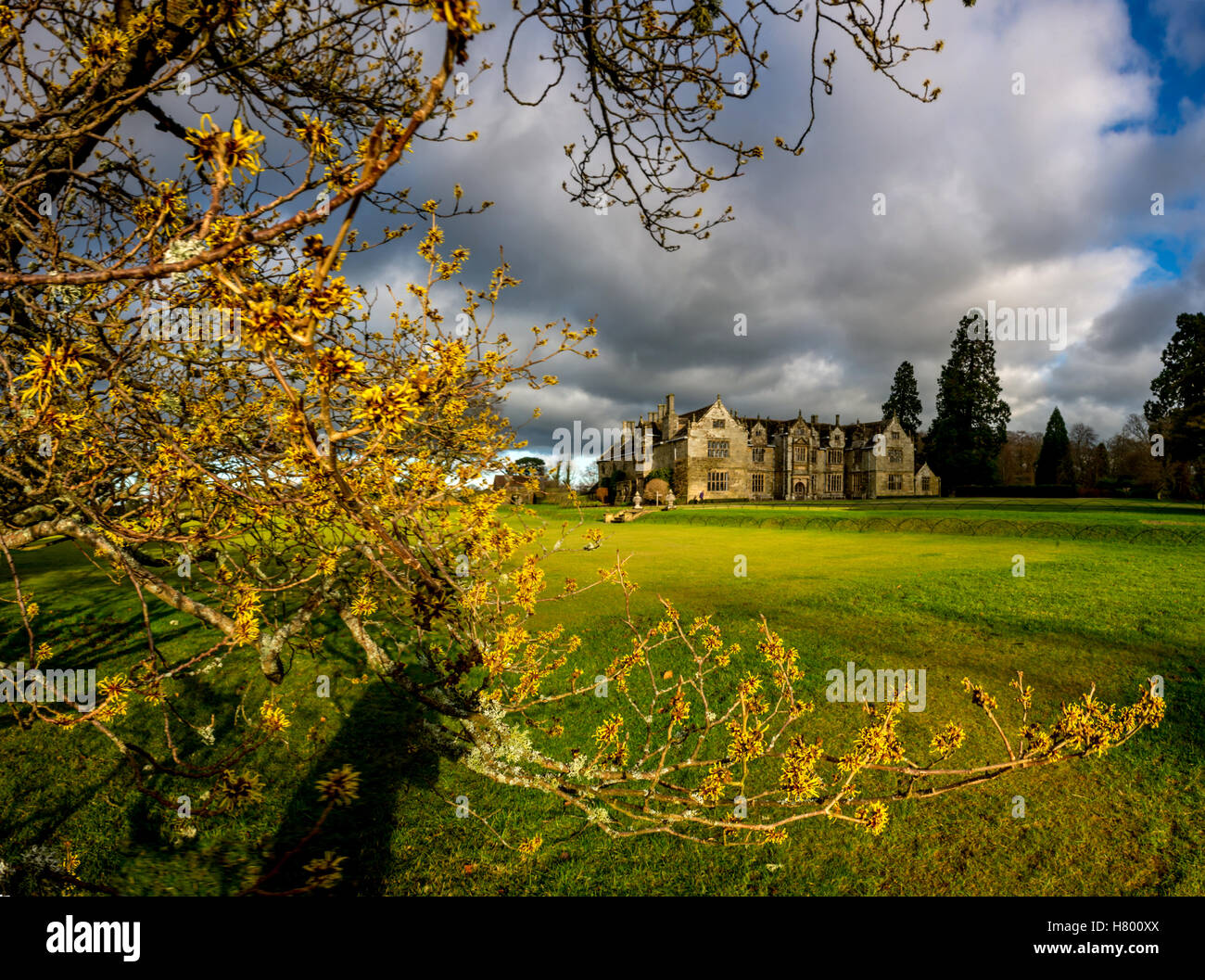 Wakehurst Place in West Sussex NB QUESTO È UN PHOTOMERGE di numerosi telai Foto Stock
