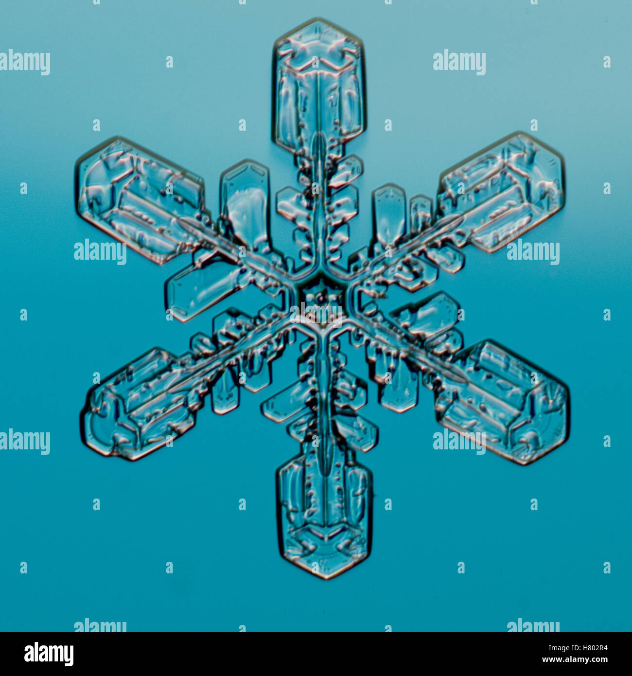 Il simbolo del fiocco di neve visto attraverso il microscopio Foto Stock
