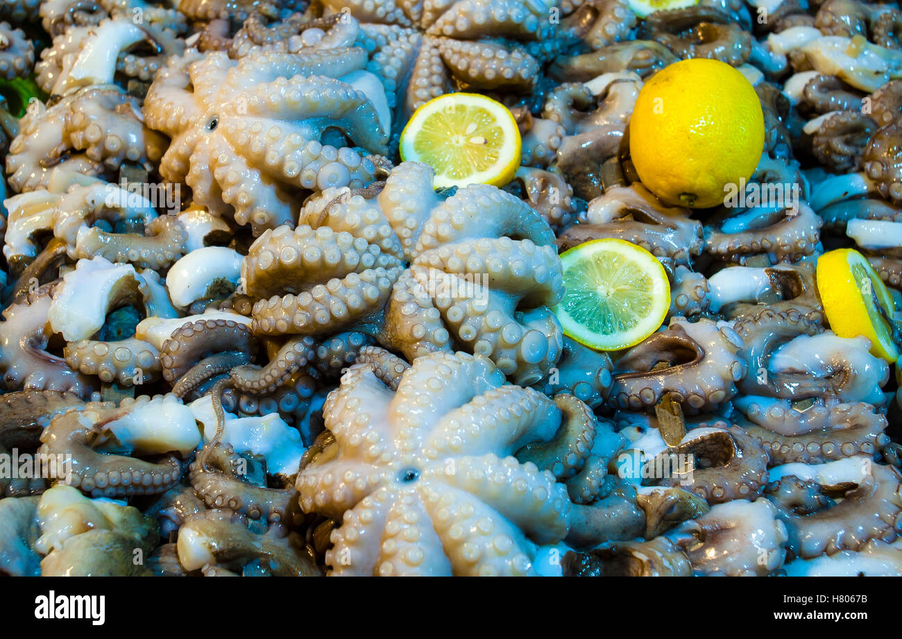 Materie polpo in attesa di essere alla griglia su carbone durante la conduzione di un festival a Mola di Bari. Puglia - Italia Foto Stock