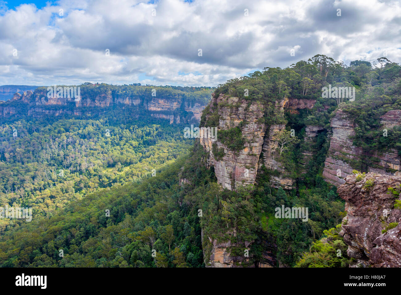 Vista sul parco nazionale Blue Mountains, Australia Foto Stock