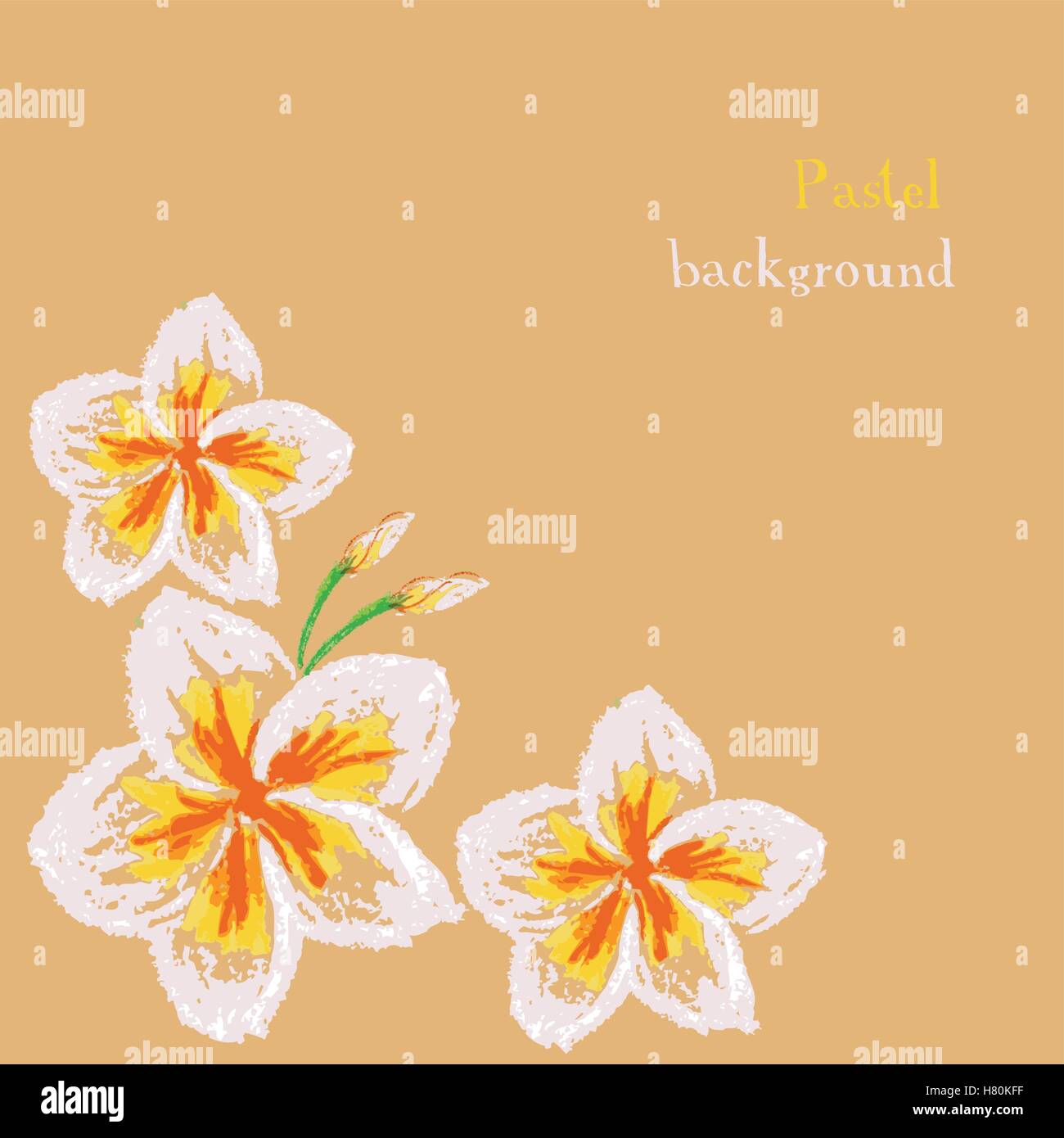 Illustrazione Vettoriale disegno a mano gessi pastello frangipani sfondo floreale Illustrazione Vettoriale