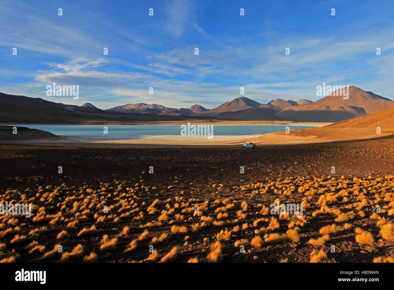 Laguna verde, verde laguna in Bolivia Foto Stock