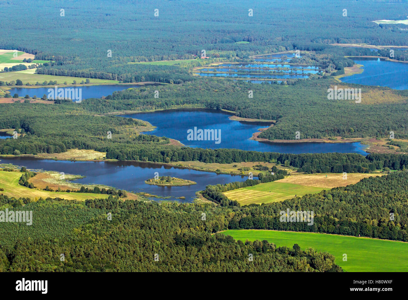 Vista aerea a Caarpsee/ Lago Caarp, Müritz Parco Nazionale / Müritz Nationalpark, Meclemburgo-Pomerania, Germania Foto Stock