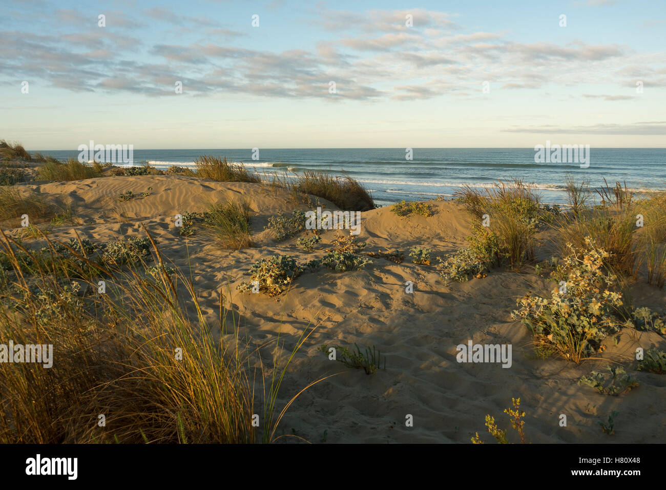 La costa atlantica dell'Ile d'Oléron nelle prime ore visto dal vertice della duna. Foto Stock