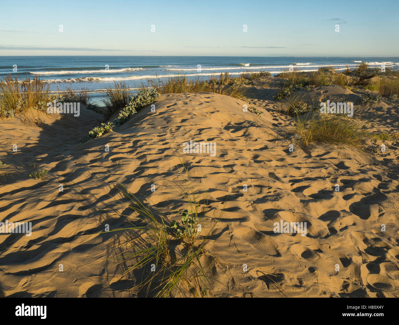 La costa atlantica dell'Ile d'Oléron nelle prime ore visto dal vertice della duna. Foto Stock