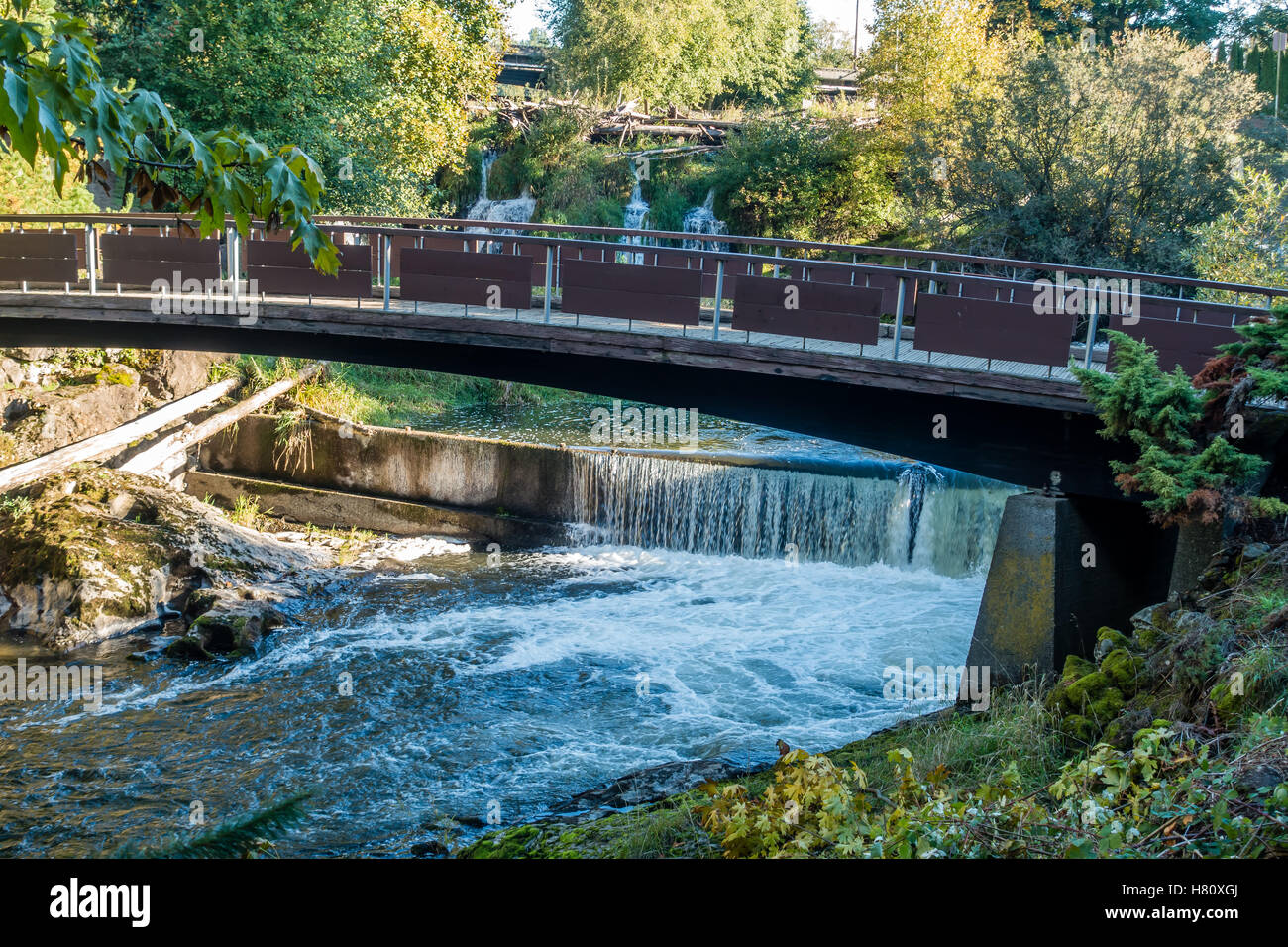Una vista di un ponte a Tumwater cade. Foto Stock