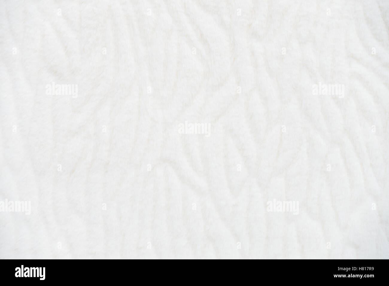 Pelliccia di sfondo in bianco Foto Stock