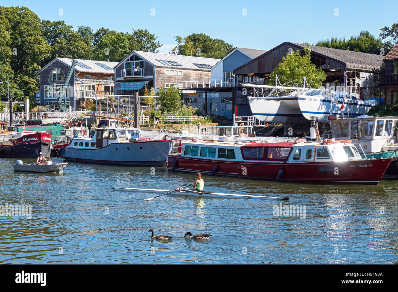 Il fiume Tamigi con anguilla isola a torta a Twickenham, Londra England Regno Unito Regno Unito Foto Stock