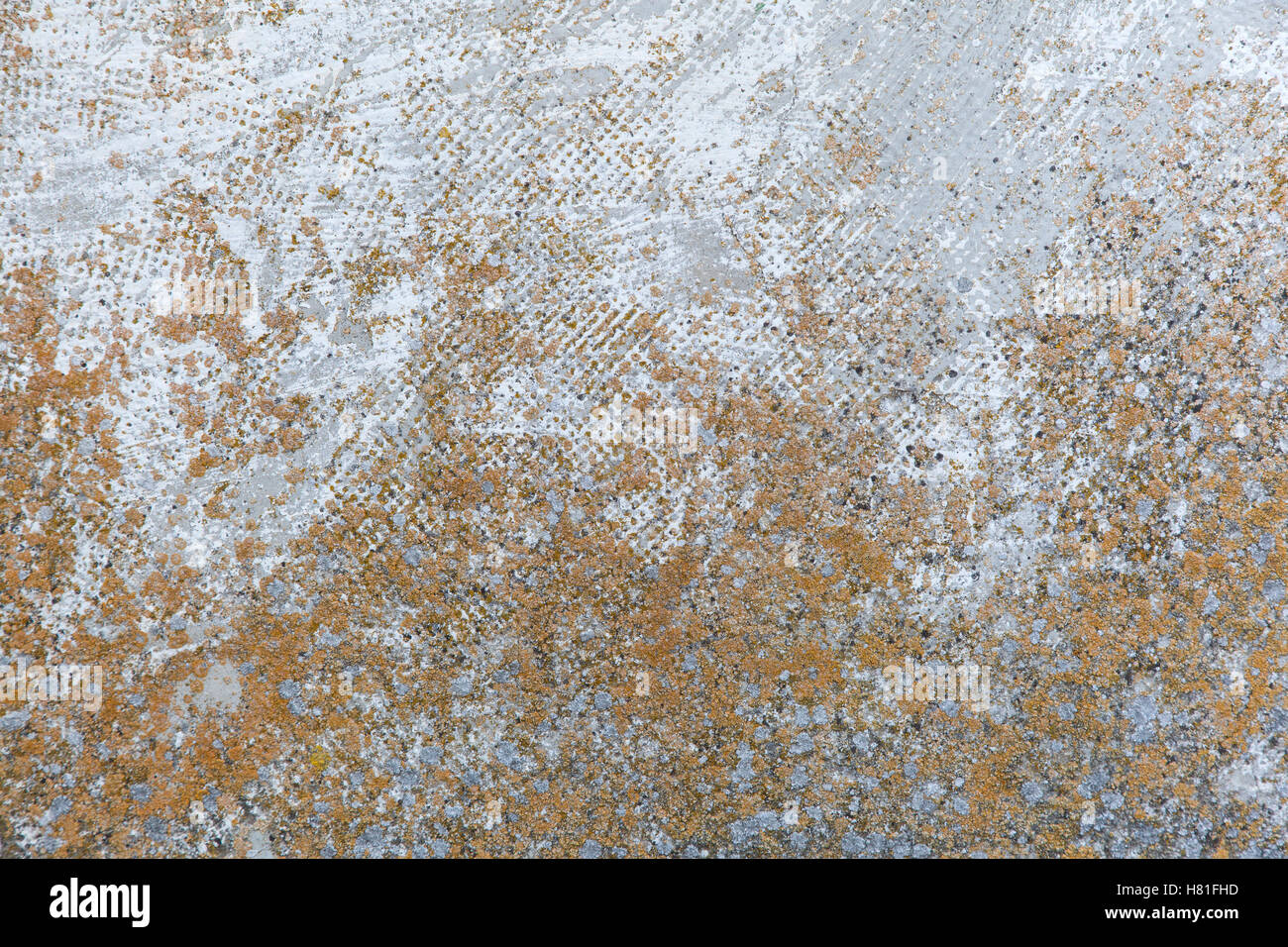 Colorate in blocchi di cemento sullo sfondo della parete. Foto Stock