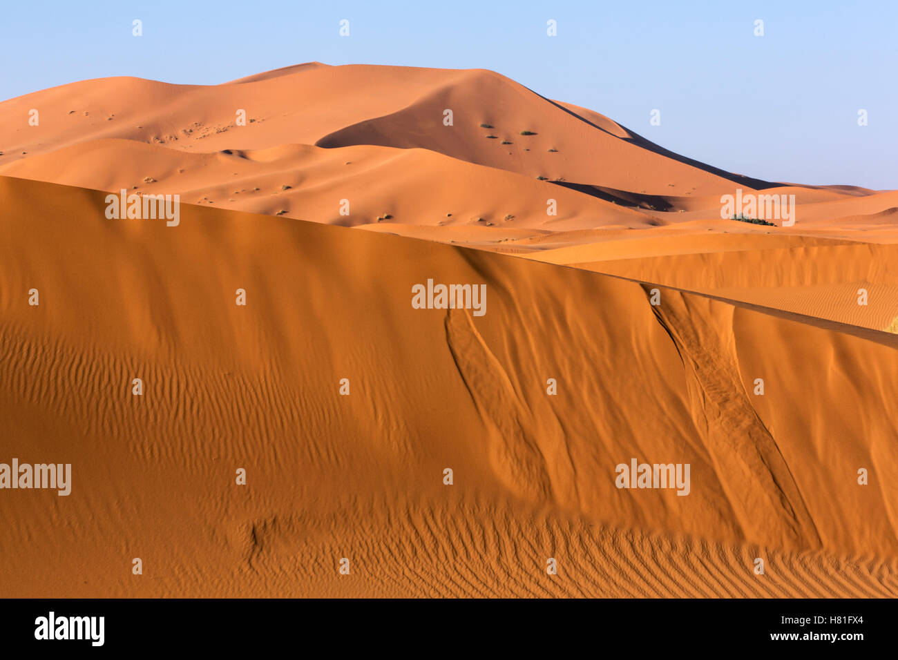 Il Marocco, Erg Chebbi, le dune di sabbia del deserto del Sahara vicino a Merzouga Foto Stock