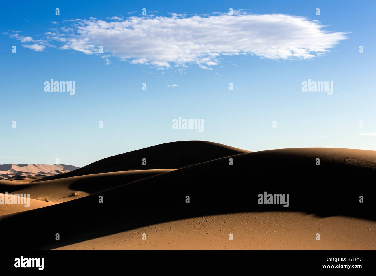 Il Marocco, Erg Chebbi, le dune di sabbia del deserto del Sahara vicino a Merzouga Foto Stock