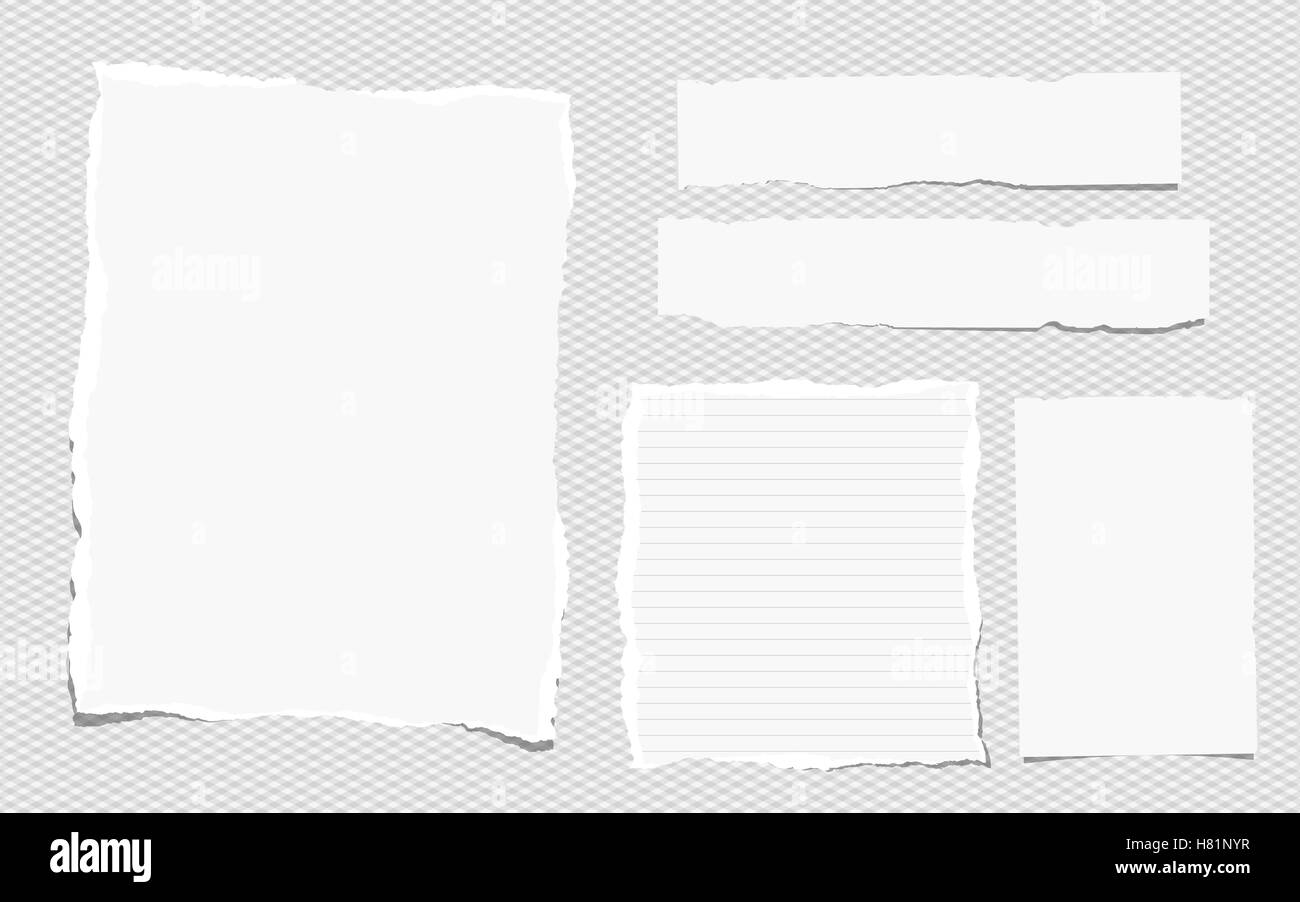 Pezzi di bianco nota strappata, notebook fogli di carta bloccati su sfondo grigio Illustrazione Vettoriale