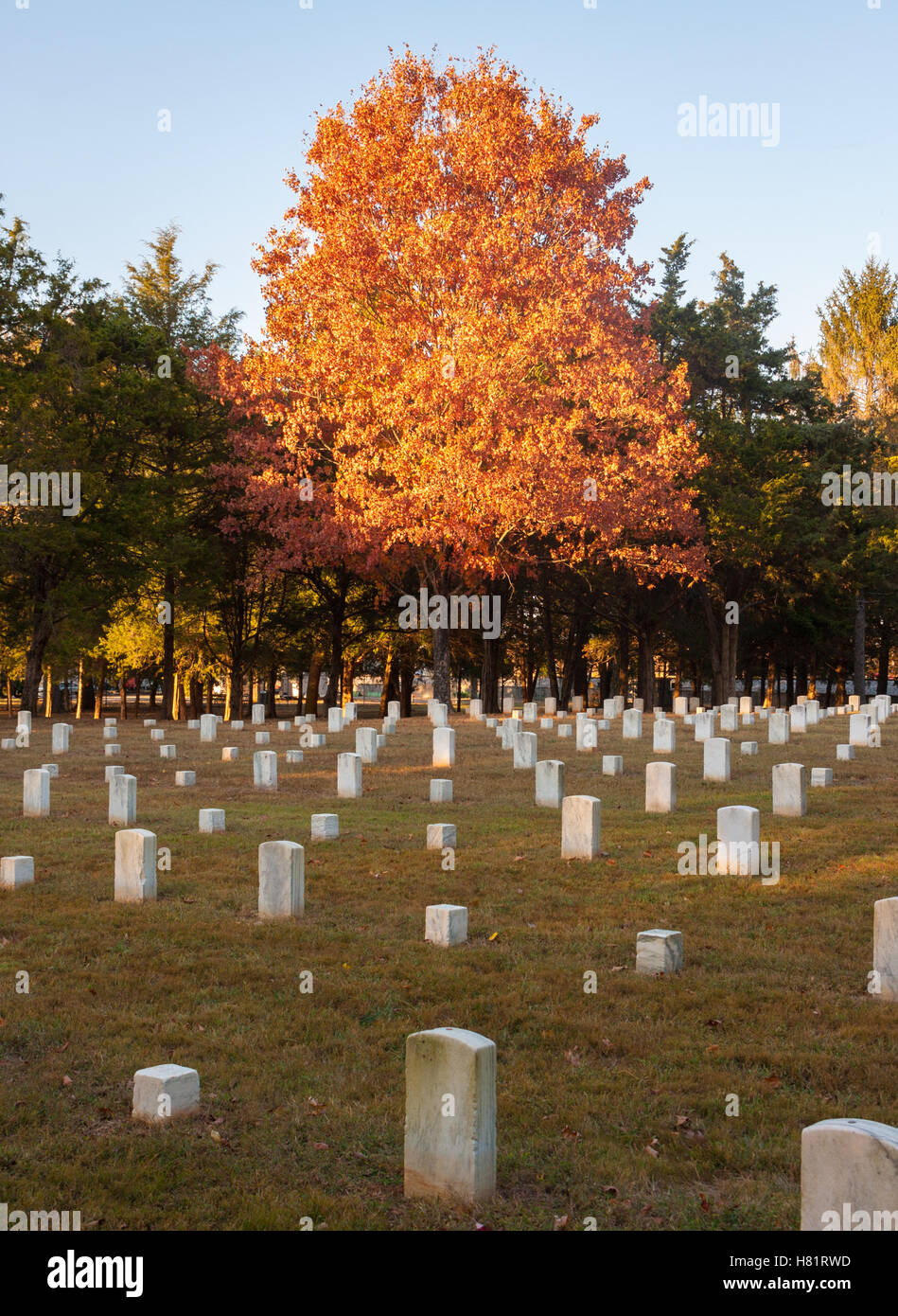 La guerra civile cimitero di pietre River National Battlefield Foto Stock