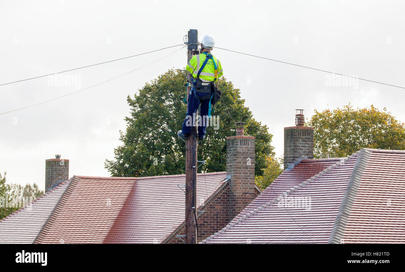 FAKENHAM, NORFOLK / UK - 10 ottobre 2016: BT Openreach engineer che fissa i cavi fino a polo. Foto Stock