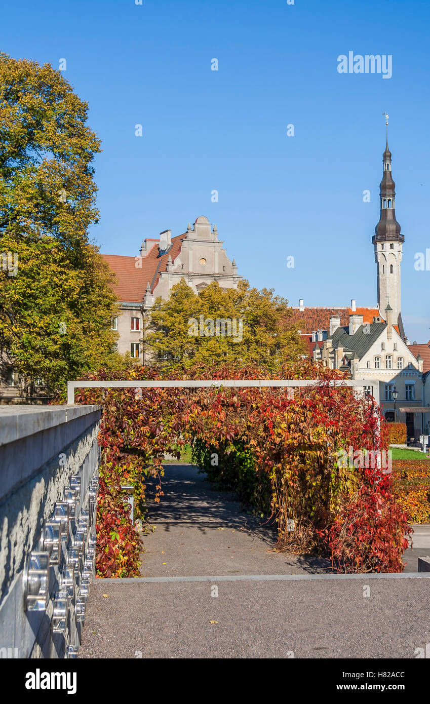 In autunno la città medievale di Tallinn Foto Stock