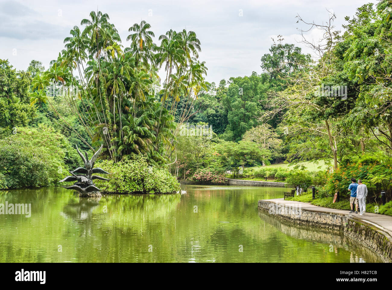 Swan Lake presso i Giardini Botanici di Singapore, Singapore Foto Stock