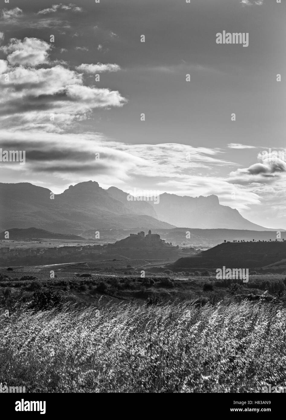 Nuvoloso paesaggio con alberi e persone, natura Foto Stock