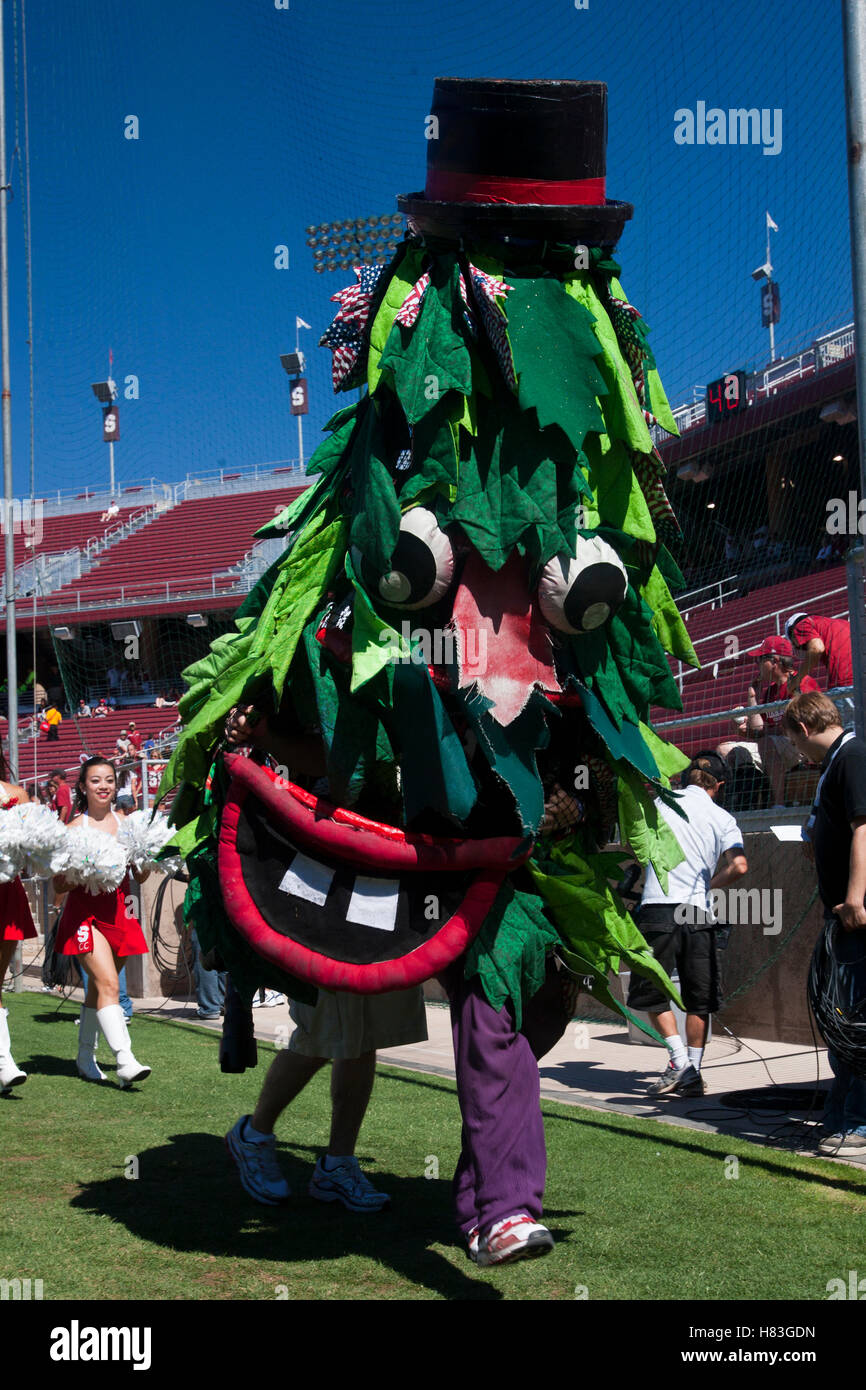 Il 4 settembre 2010; Stanford, CA, Stati Uniti d'America; la Stanford Cardinale mascotte esegue prima la partita contro il Sacramento membro calabroni presso la Stanford Stadium. Foto Stock
