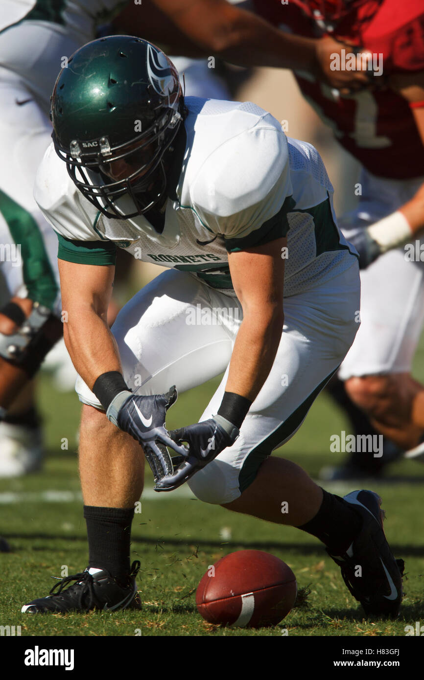 Il 4 settembre 2010; Stanford, CA, Stati Uniti d'America; Sacramento membro calabroni quarterback McLeod Bethel-Thompson (9) fumbles la sfera durante il secondo trimestre contro la Stanford Cardinale presso la Stanford Stadium. Stanford sconfitto Sacramento membro 52-17. Foto Stock