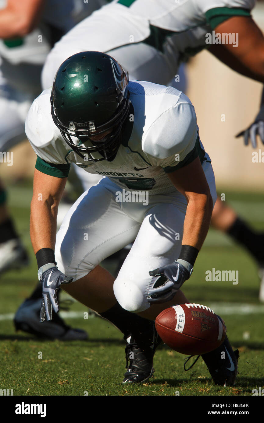 Il 4 settembre 2010; stanford, CA, Stati Uniti d'America; sacramento membro calabroni quarterback mcleod bethel-Thompson (9) fumbles la sfera durante il secondo trimestre contro la stanford cardinale presso la stanford stadium. stanford sconfitto sacramento membro 52-17. Foto Stock