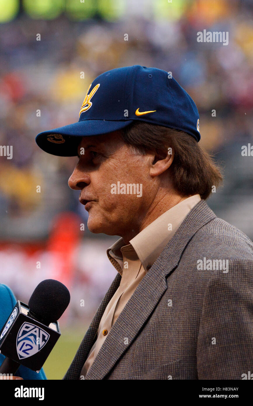 5 Nov 2011; San Francisco CA, Stati Uniti d'America; St. Louis Cardinals ex manager Tony LaRussa in disparte durante il secondo trimestre tra la California Golden Bears e il Washington State Cougars presso AT&T Park. California sconfitto nello Stato di Washington 30-7. Foto Stock