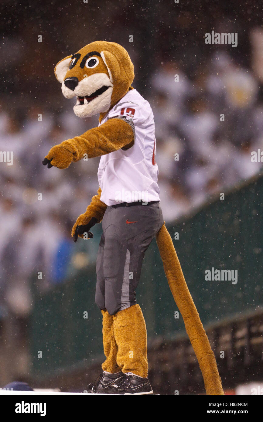 5 Nov 2011; San Francisco CA, Stati Uniti d'America; il Washington State Cougars mascotte Butch sugli spalti contro la California Golden Bears durante il terzo trimestre di AT&T Park. California sconfitto nello Stato di Washington 30-7. Foto Stock