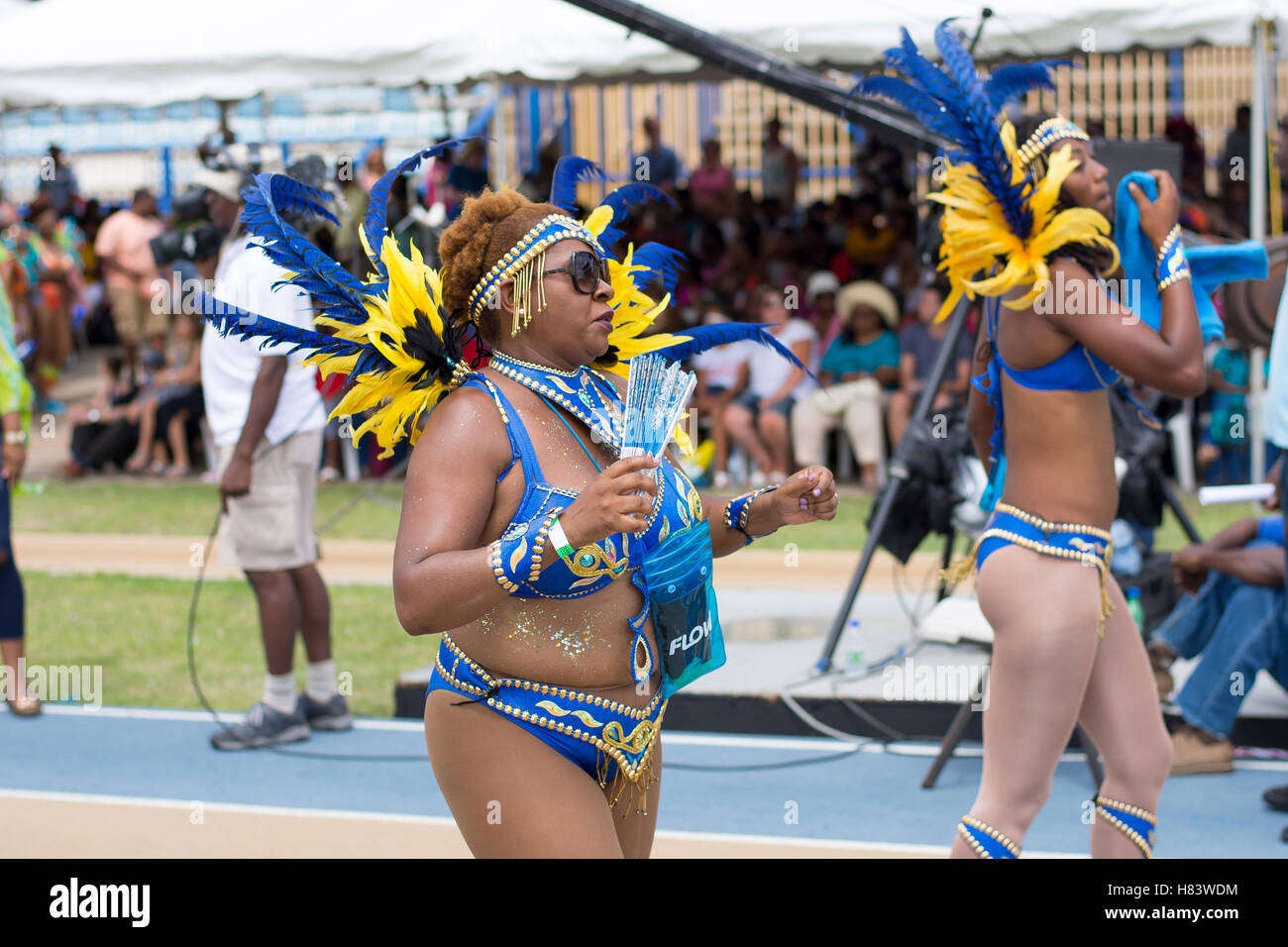 Barbados raccolto su Festival (Grand Kadooment 2016 in Barbados) Foto Stock