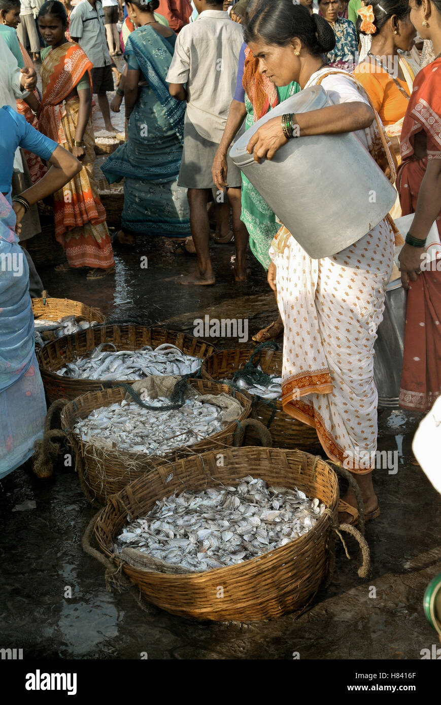Le donne di Fisher la vendita del pesce nelle zone rurali del Maharashtra, India Foto Stock