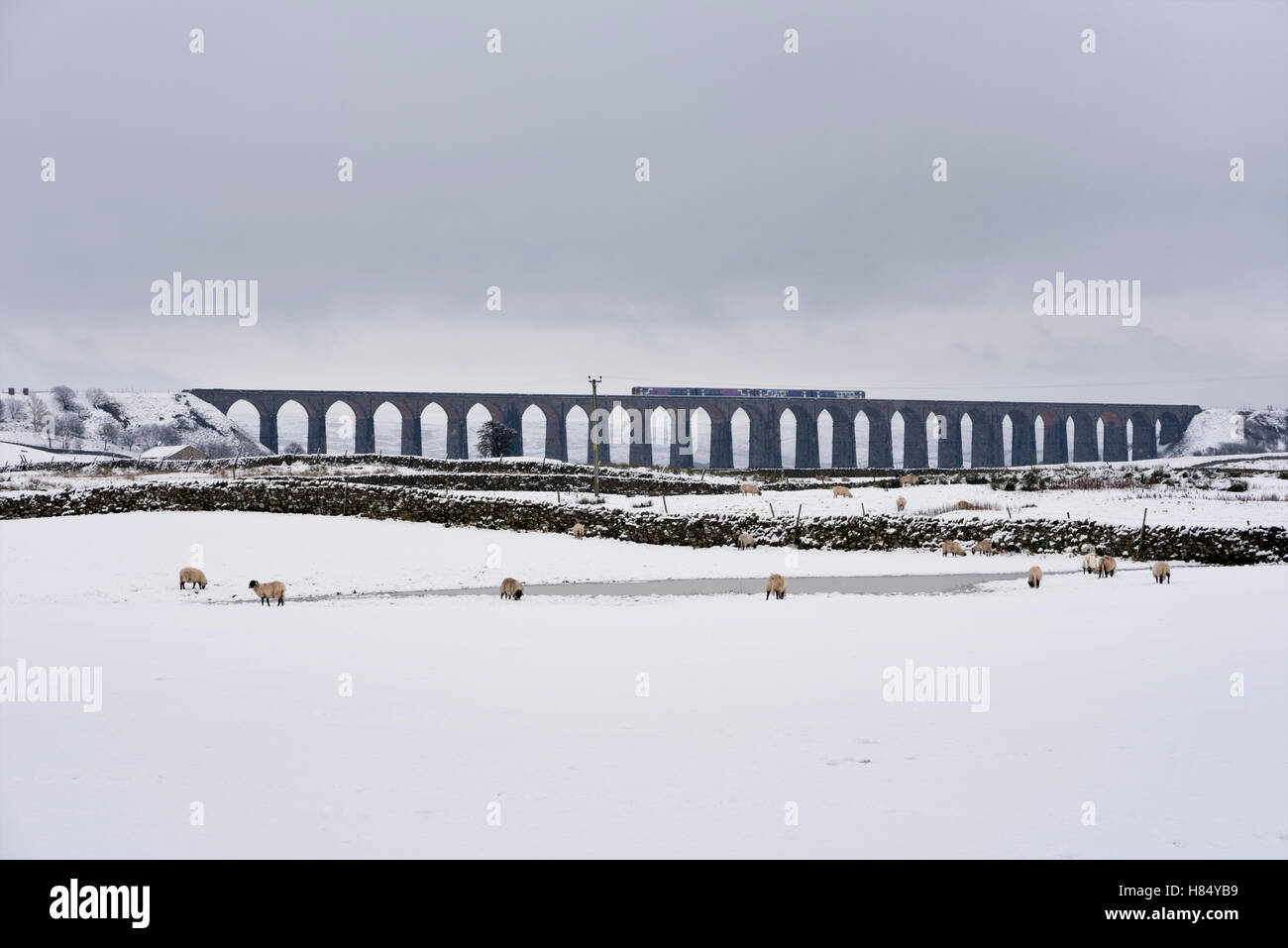 Neve in Batty Moss viadotto sul Settle-Carlisle linea ferroviaria, Ribblehead, North Yorkshire. Foto Stock