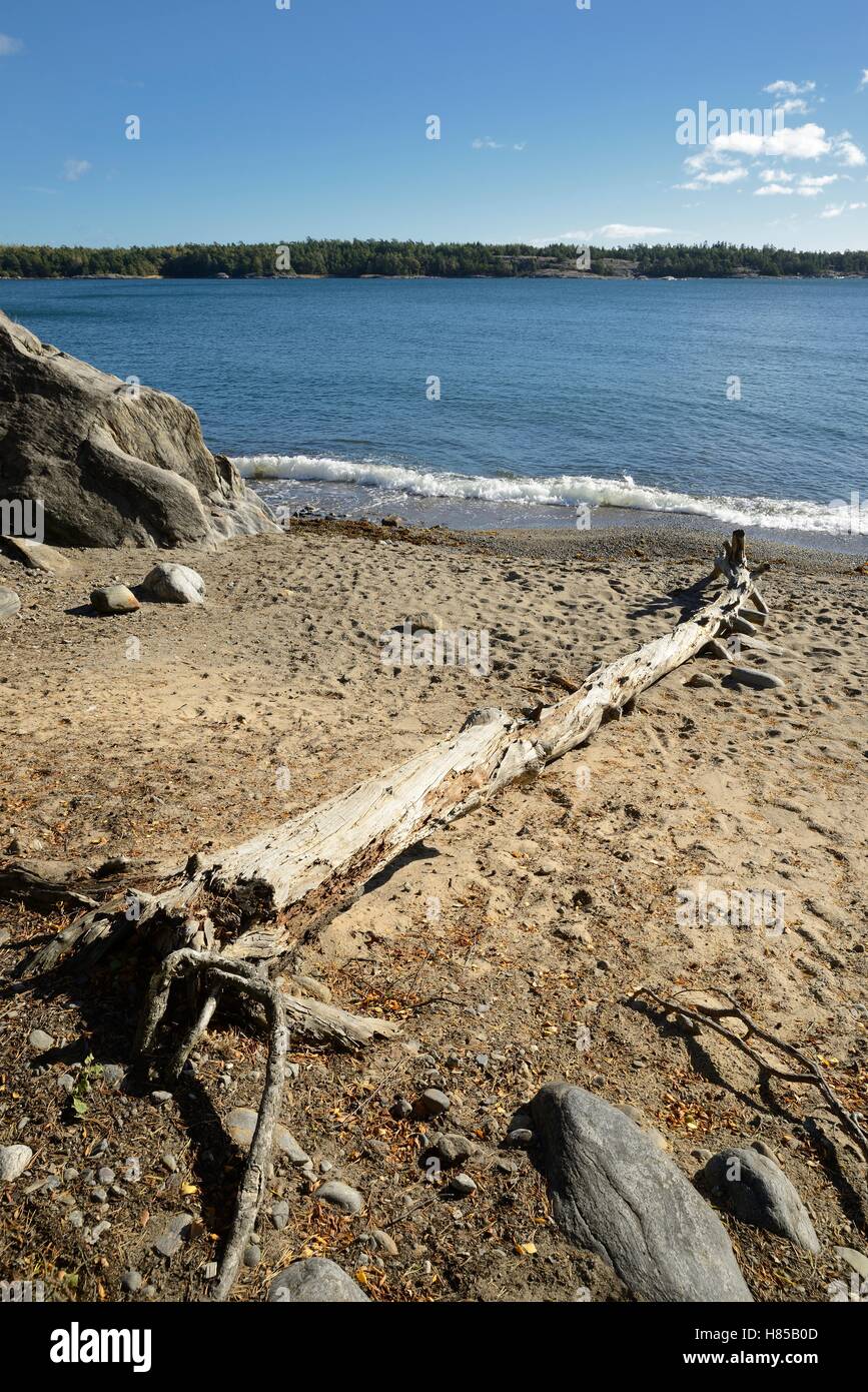 Spiaggia di ghiaia Foto Stock