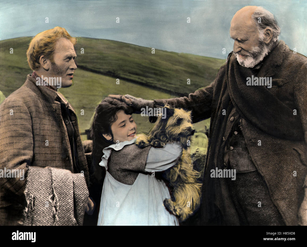 Greyfriars Bobby - Der treue Terrier, (Greyfriars Bobby) USA 1961, Regie: Don Chaffey, Gordon Jackson, Jennifer NEVINSON, Donald Crisp, Stichwort: tipo, Hund Foto Stock