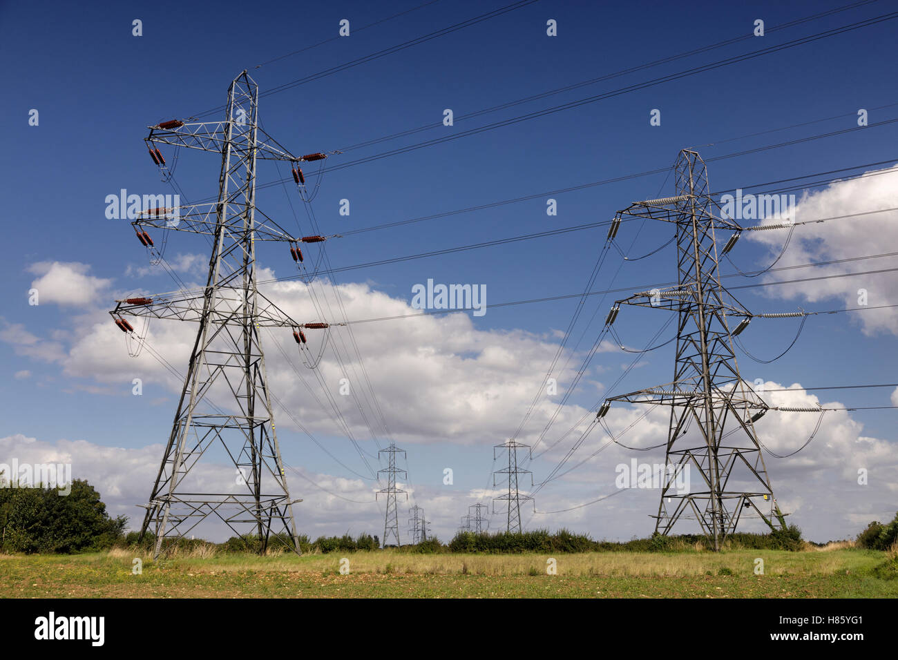 Due righe di piloni di elettricità nella campagna inglese e su un giorno di estate Foto Stock