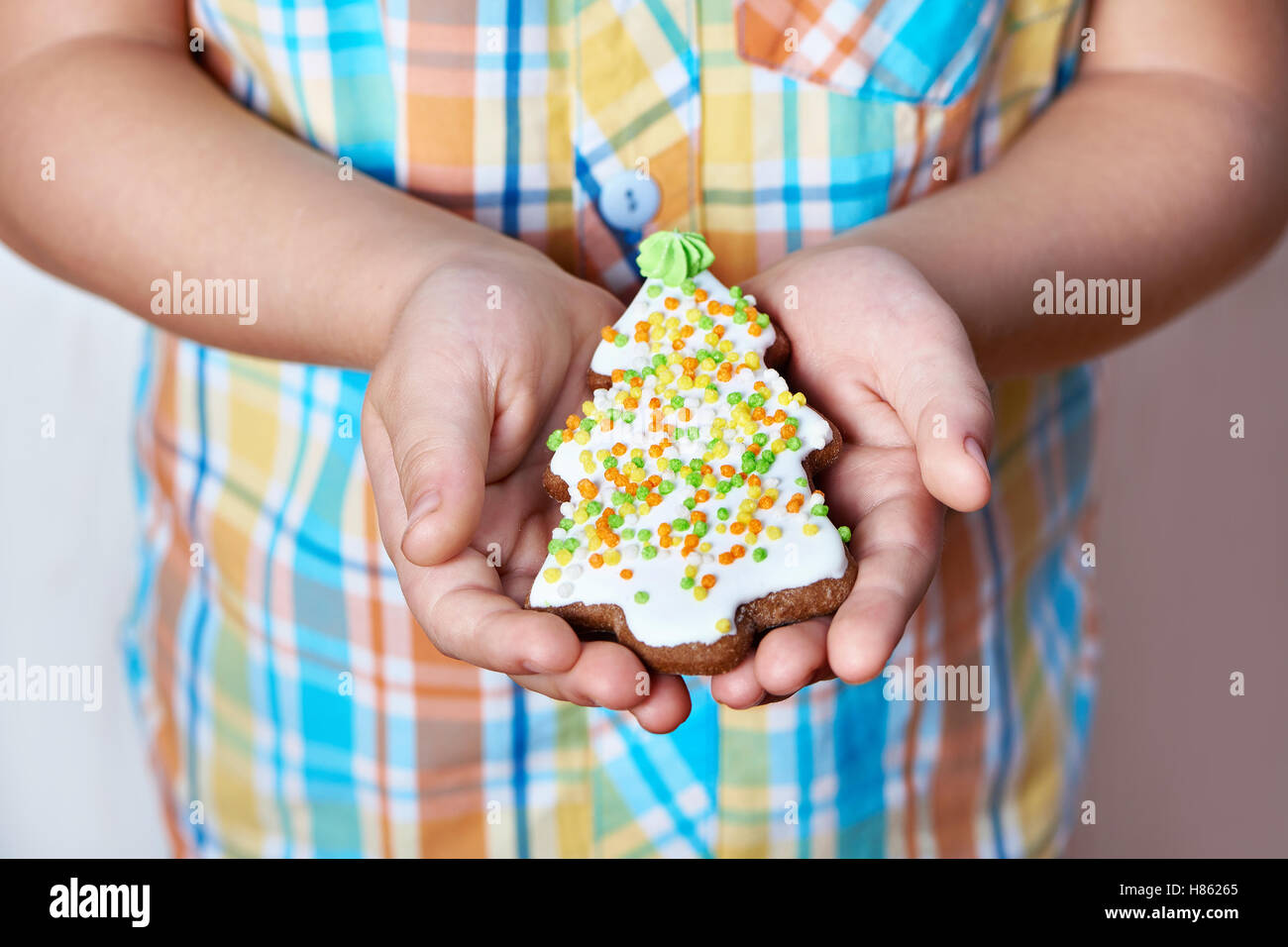 Biscotti di Natale con smalto nella forma di un albero di abete in le palme delle mani del bambino Foto Stock