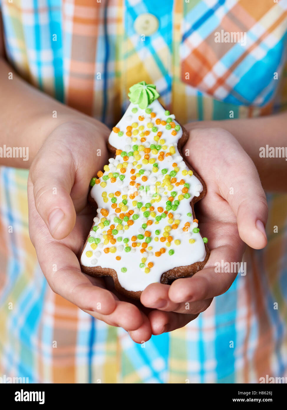 Biscotti di Natale con smalto nella forma di un albero di abete in le palme delle mani del bambino Foto Stock