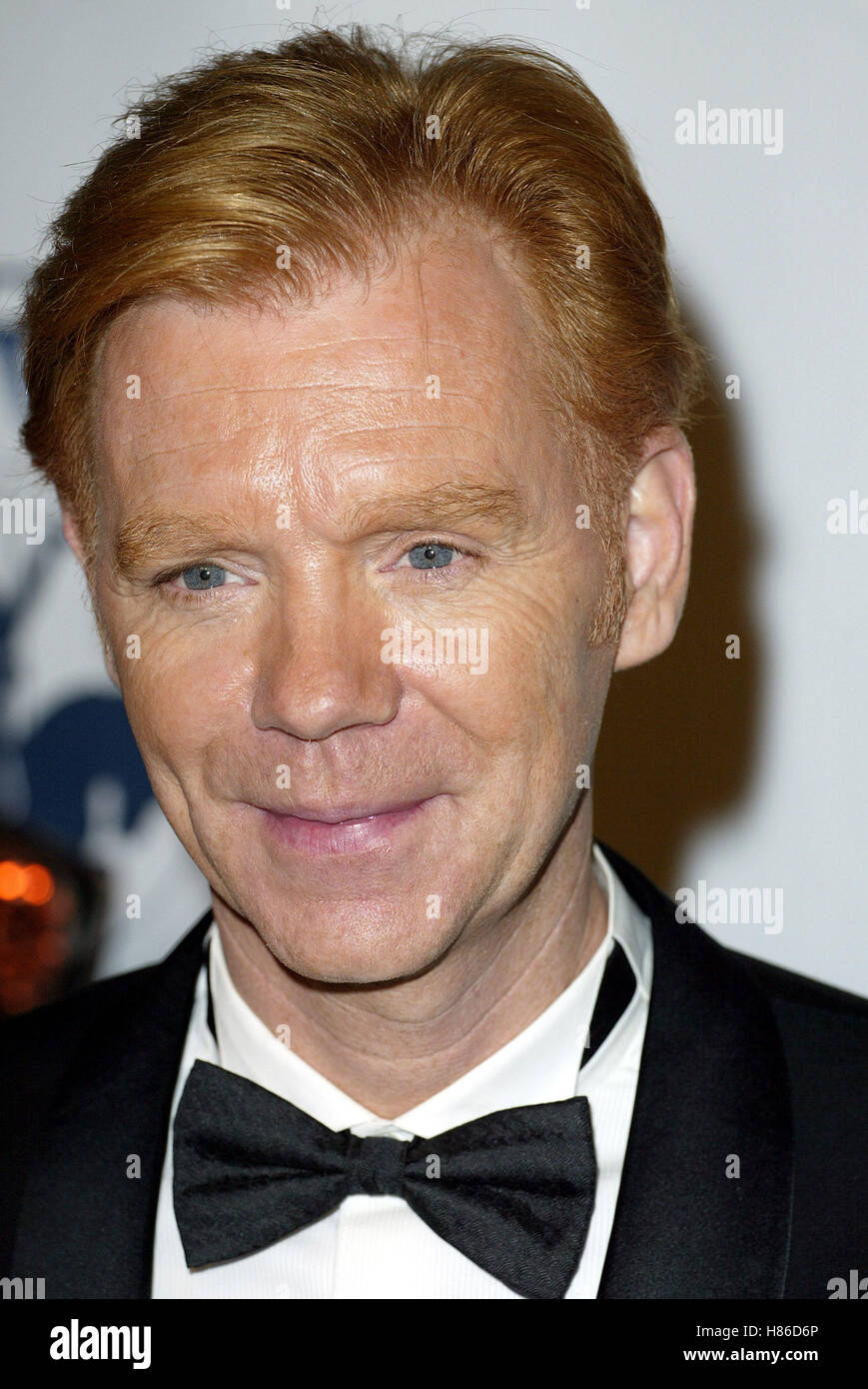 DAVID CARUSO 15TH GIOSTRA DELLA SFERA DI SPERANZA il Beverly Hilton Hotel di BEVERLY HILLS LA USA 15 Ottobre 2002 Foto Stock