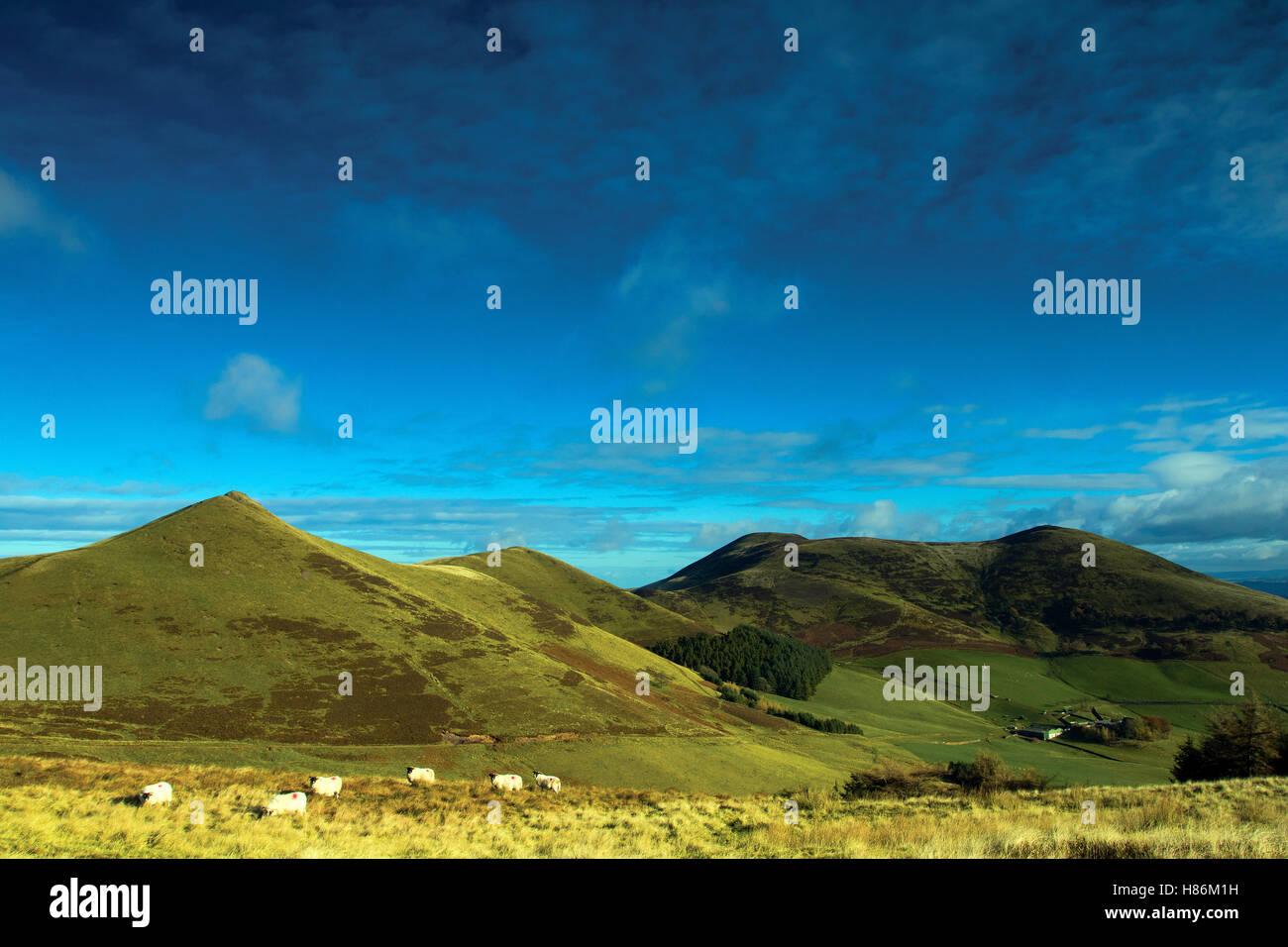 Kip Ovest, Est Kip e Scotti legge dal tappo diritto, Pentland Hills, Pentland Hills Regional Park, Lothian Foto Stock