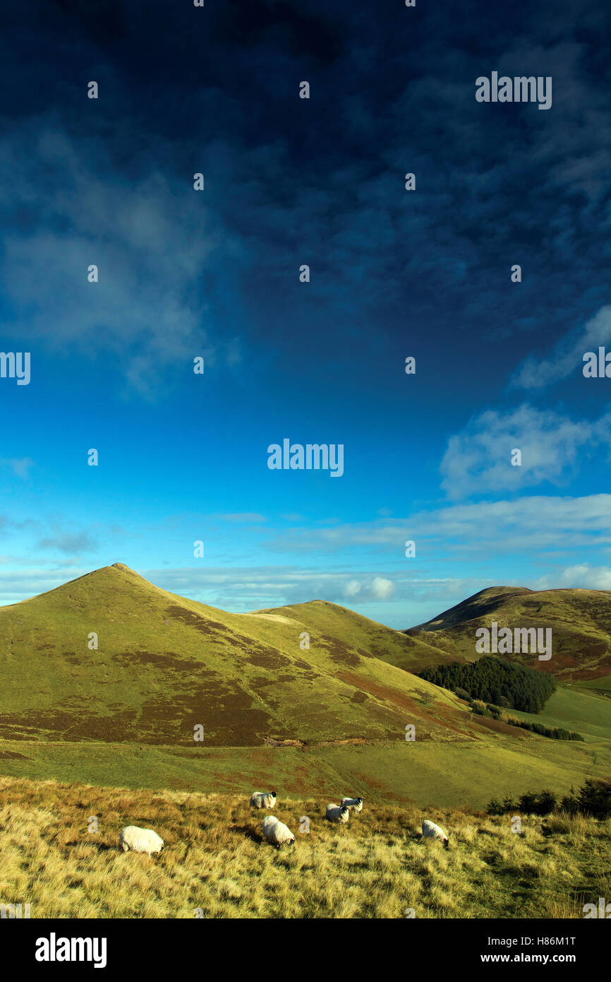 Kip Ovest, Est Kip e Scotti legge dal tappo diritto, Pentland Hills, Pentland Hills Regional Park, Lothian Foto Stock