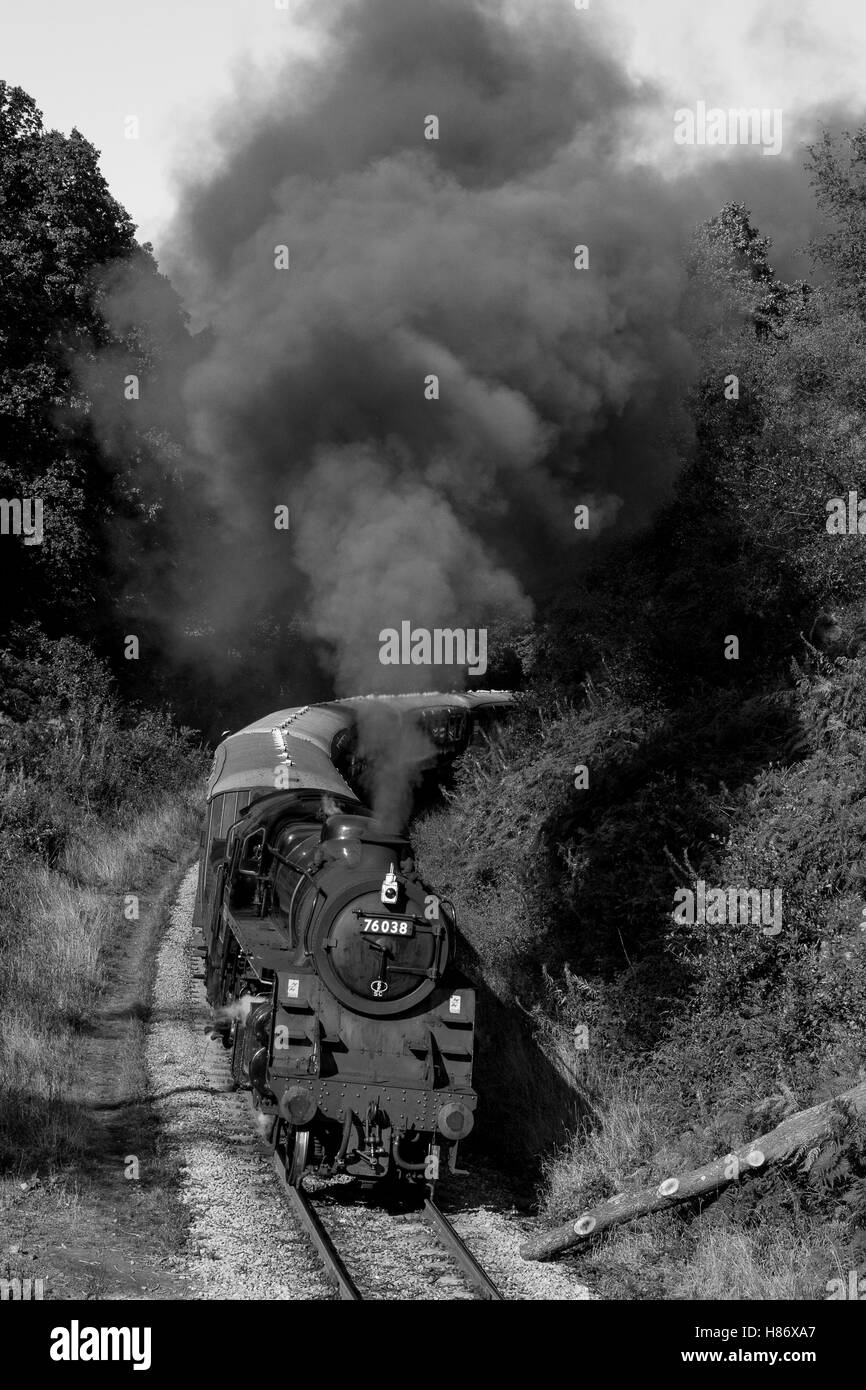 Standard Classe 4 vapore Loco 76079 (come 76038)passando Beck foro sul NYMR Welsh Gala 2016.North Yorkshire Moors Railway. Foto Stock