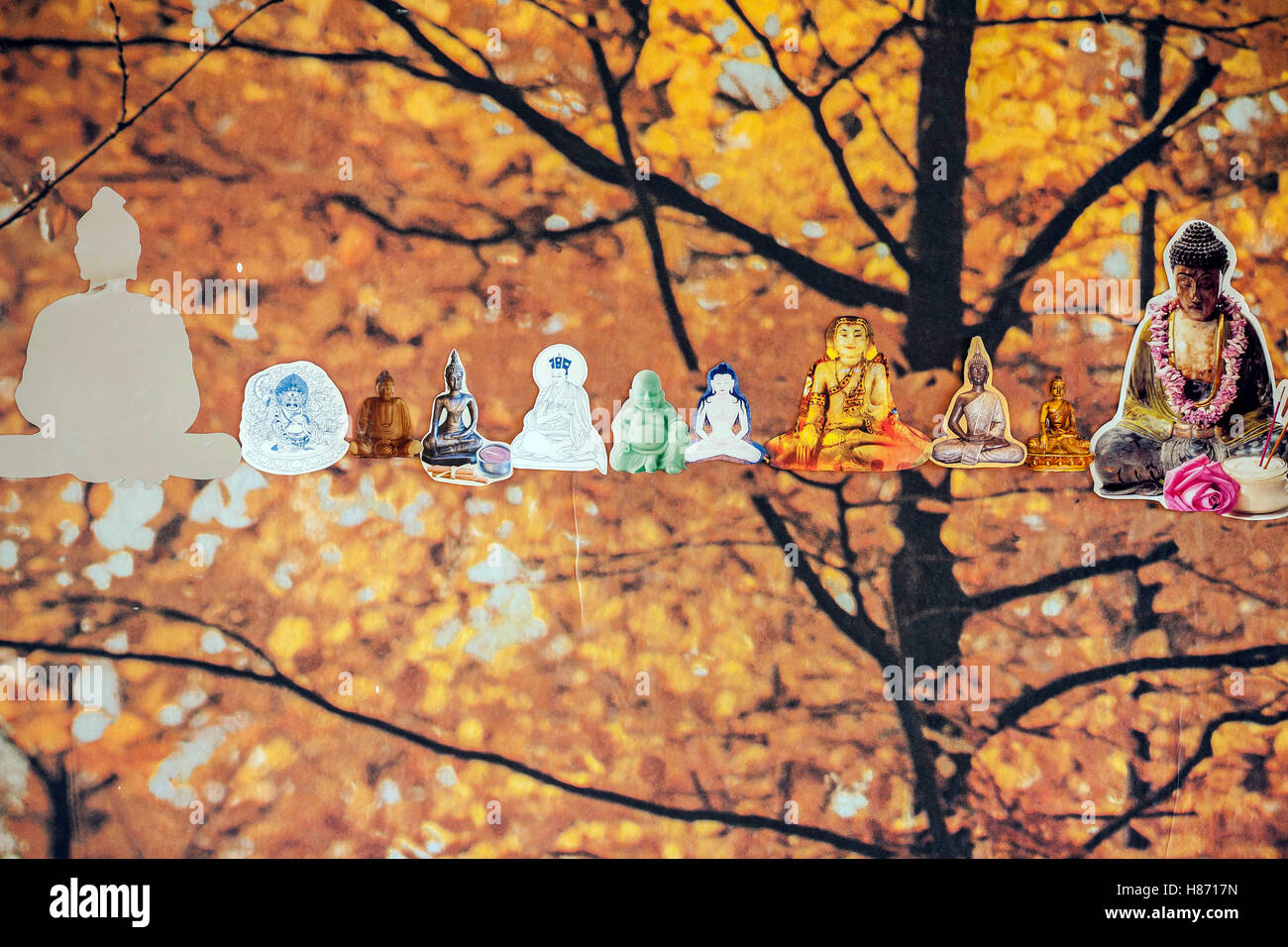 Raccolta di immagini uddha sulla foto di sfondo Foto Stock