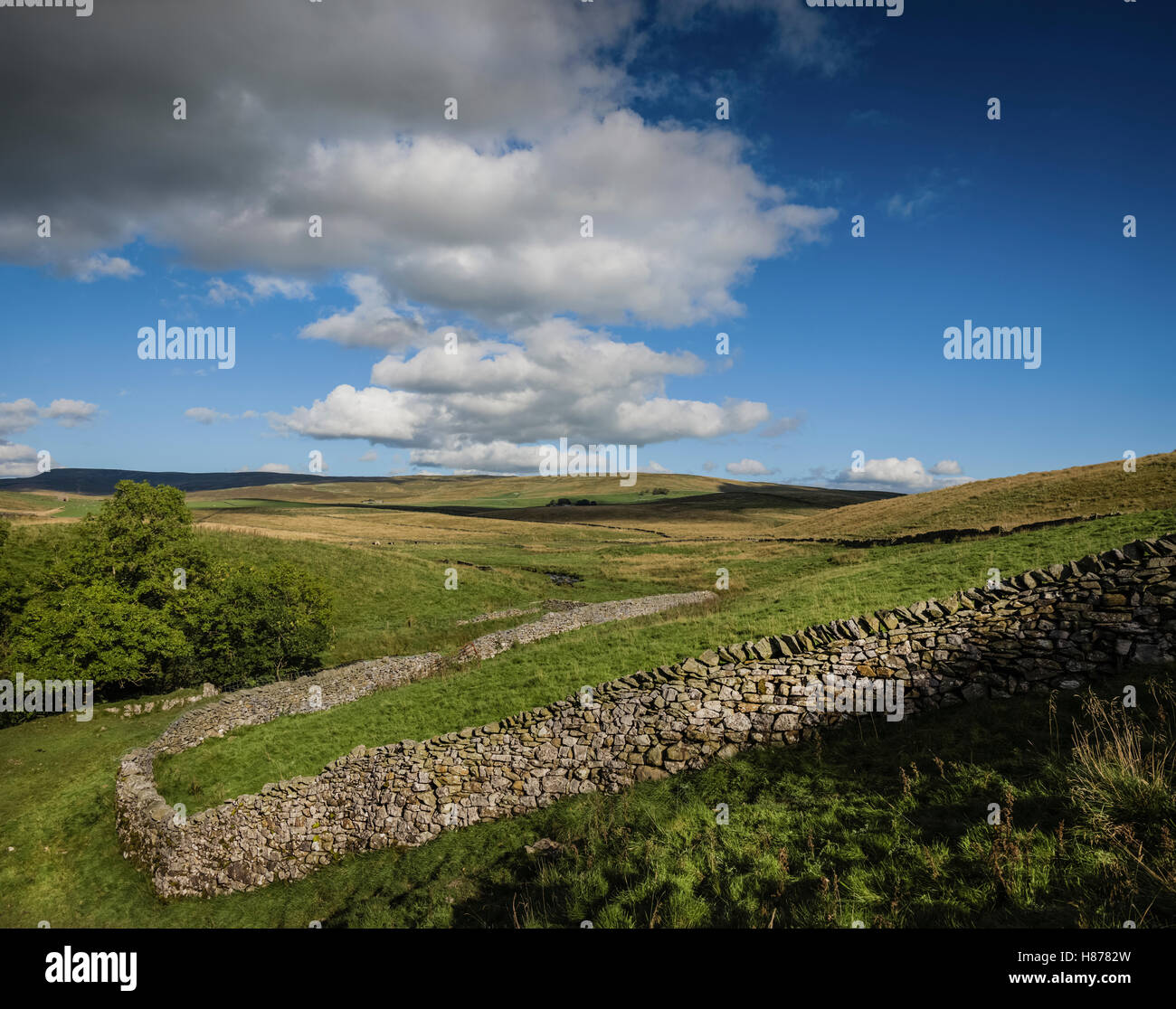 Il paesaggio intorno a Stainforth, Yorkshire Dales, UK. Foto Stock