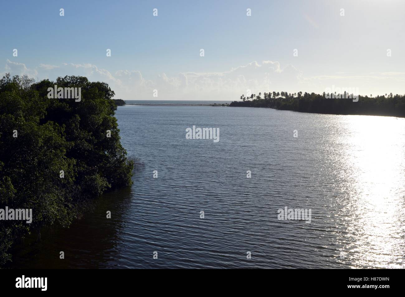 Estuario nella foresta della Repubblica Dominicana Foto Stock