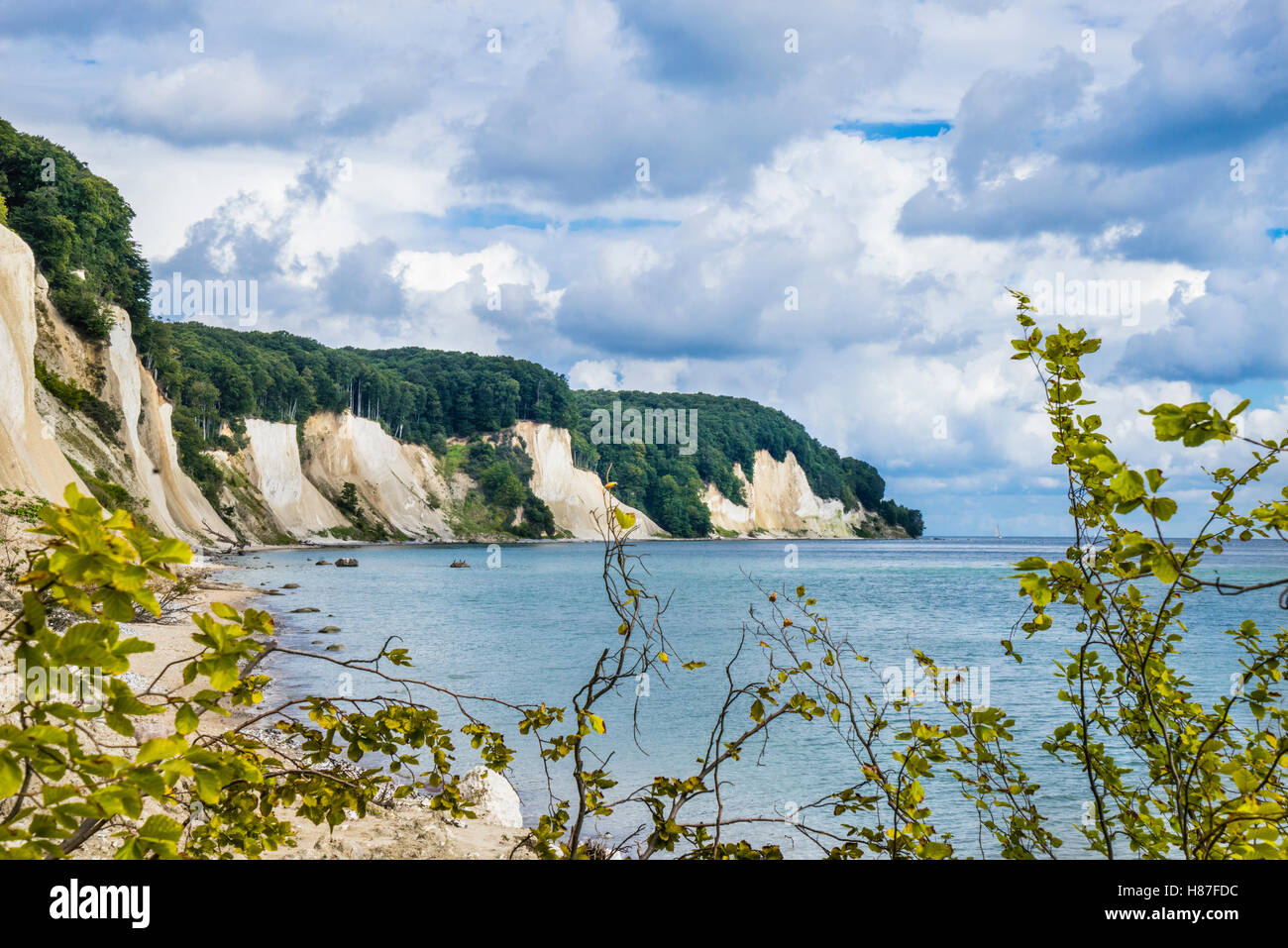 Chalk cliff coast Jasmund National Park, vicino a Königsstuhl (Re della sedia) sull'isola di Rügen, Meclenburgo-Pomerania Occidentale, Germania Foto Stock