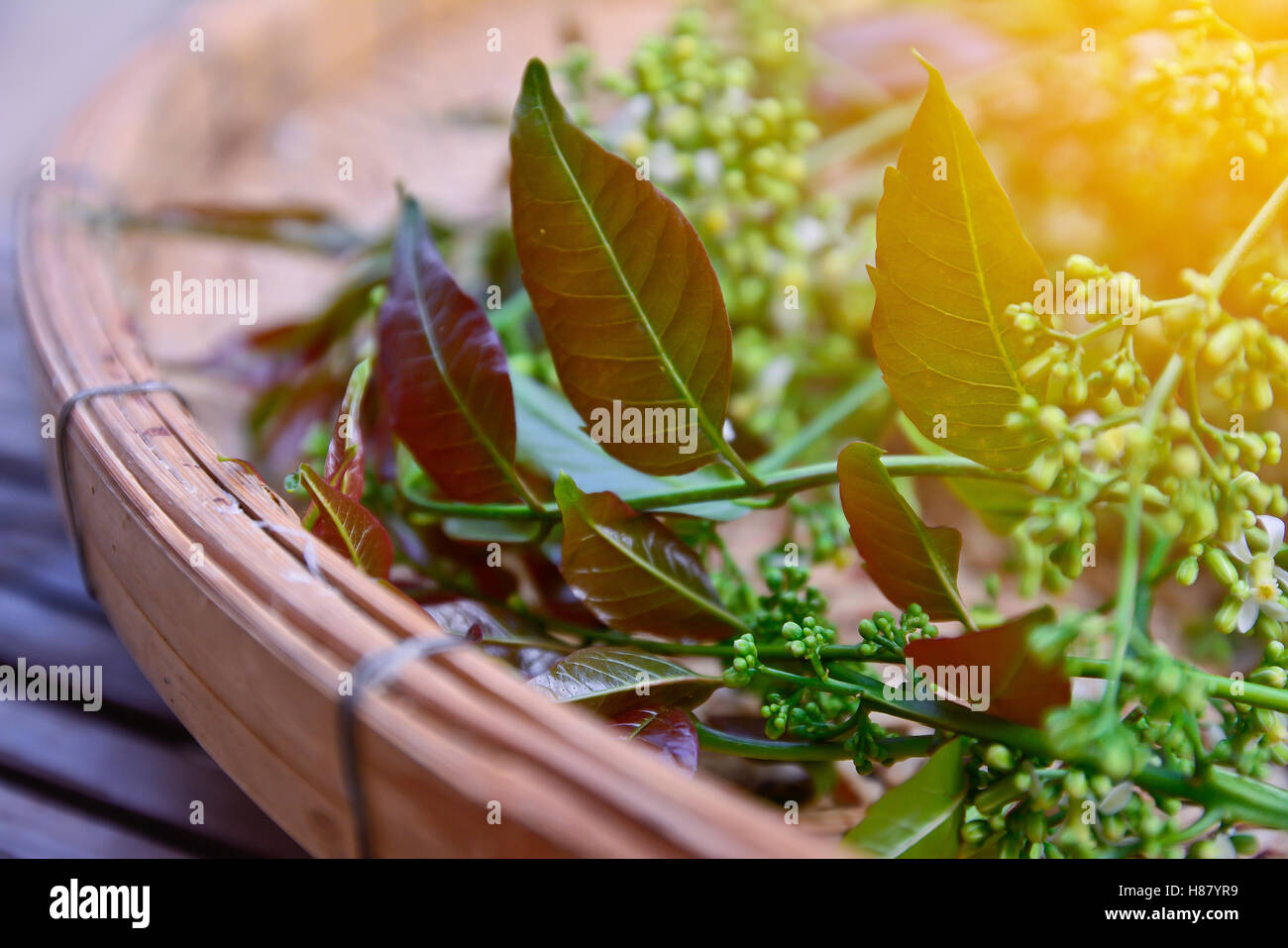 Vista dettagliata del Neem foglie e fiori in cesto di bambù con sun effetto luce,in stile vintage.Concetto di erbe, food concept. Foto Stock