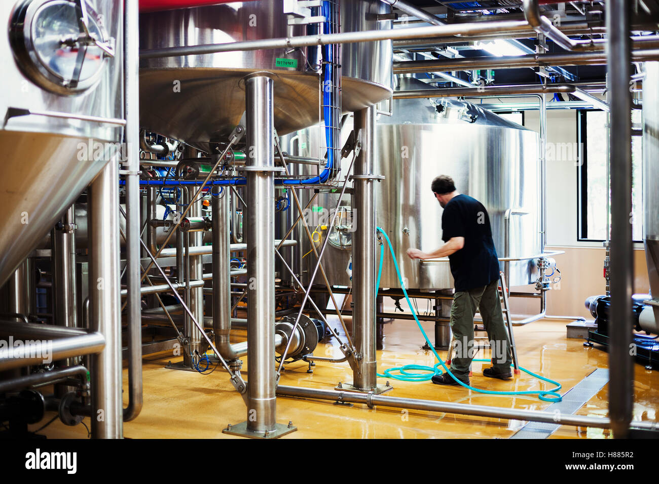 Uomo che lavora in una fabbrica di birra, il collegamento di un tubo flessibile a un metallo serbatoio di birra. Foto Stock