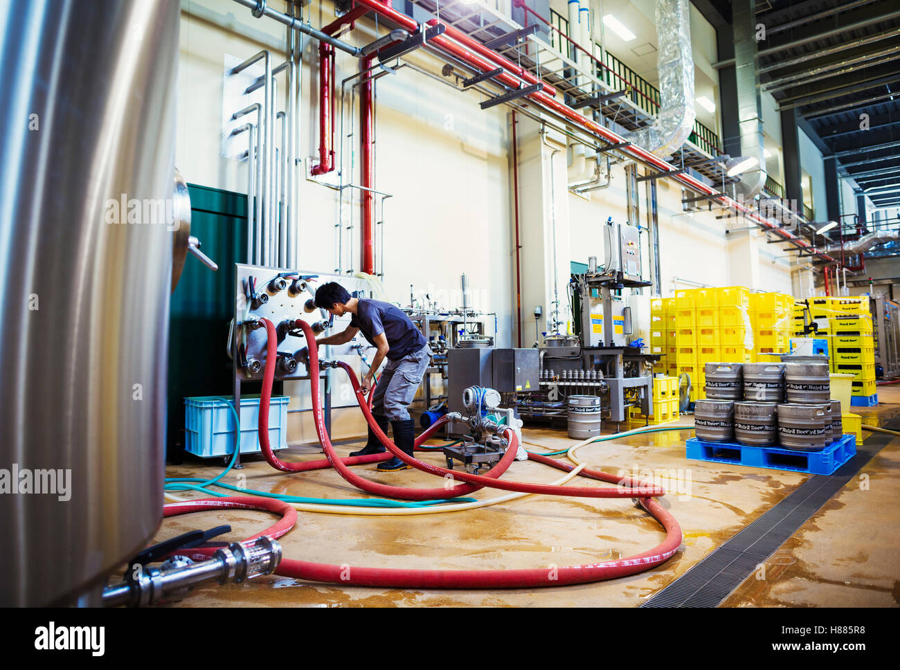 Uomo che lavora in una fabbrica di birra, tubi flessibili di collegamento a un metallo serbatoio di birra. Foto Stock